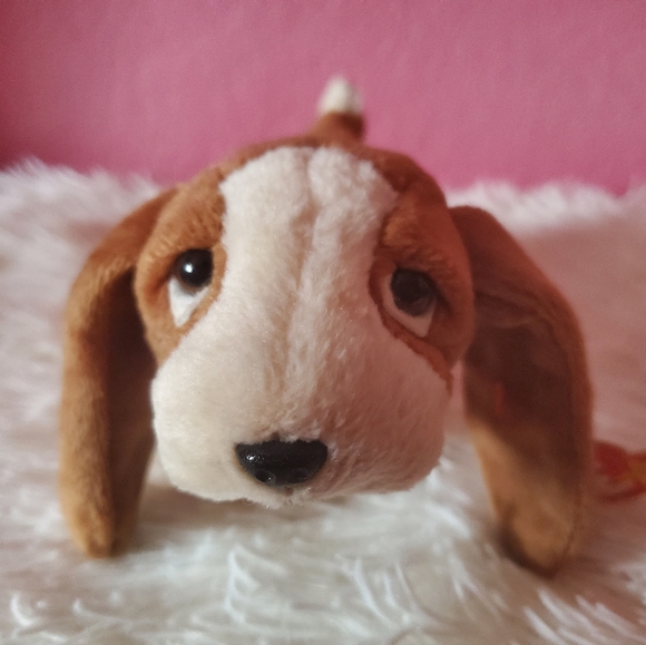 Ty Beanie Babies Tracker The Basset Hound - Picture 1 of 7